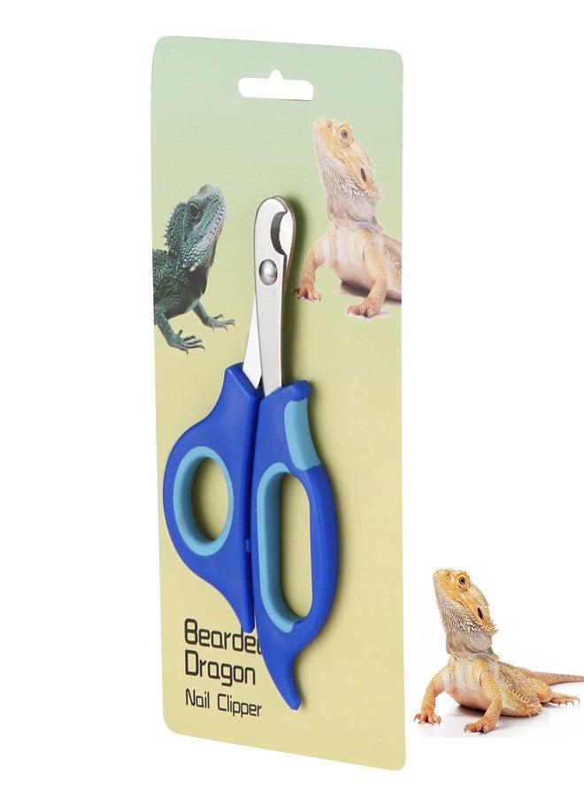 KEUYE Bearded Dragon Nail Clippers,Stainless Steel Bearded Dragon Toe Nail Clippers with Precise Angled Edges (Blue) - Image 1